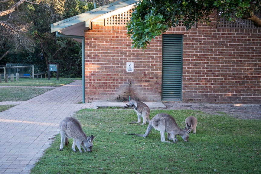 20170510-20170510-DSCF6039