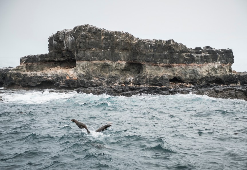 20170515-20170515-DSCF6305