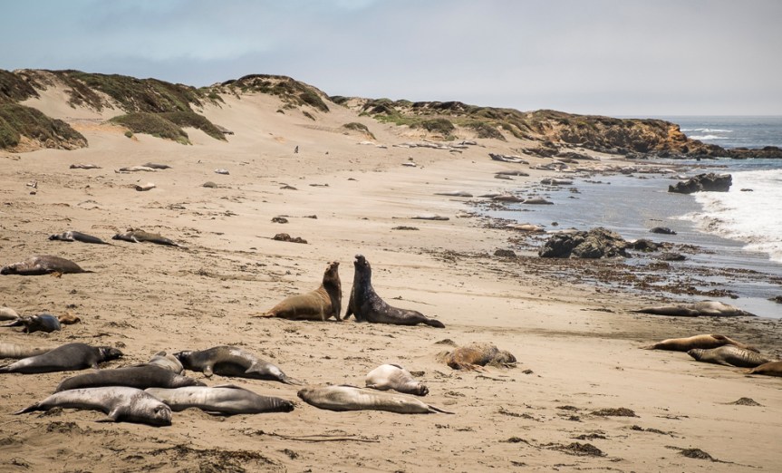 20170628-20170628-DSCF8145