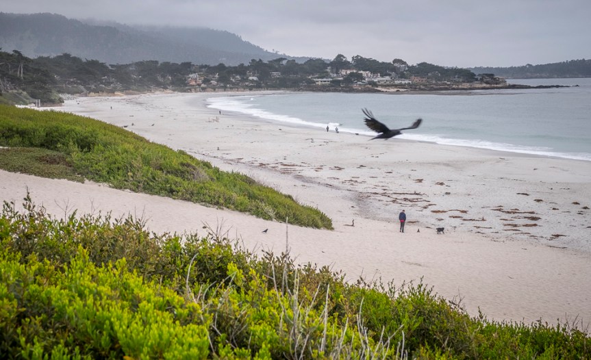 20170628-20170628-DSCF8221