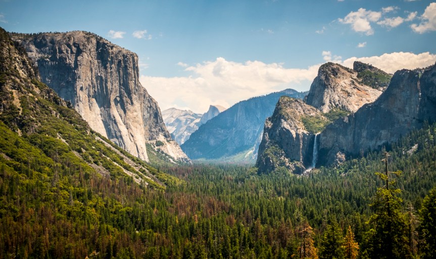 California Dreamin’…