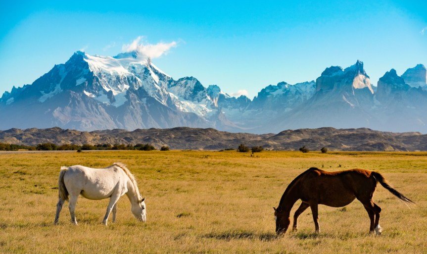 Chile: from Valparaiso to the Southern&nbsp;volcanoes